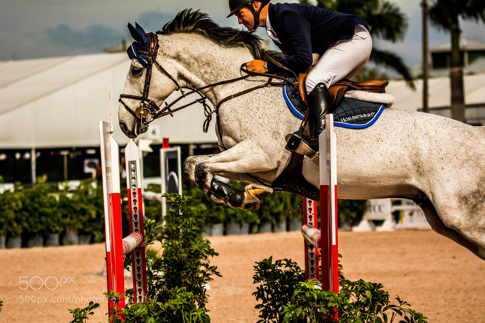 Nikon D5200 sample photo. The jumpers close up photography