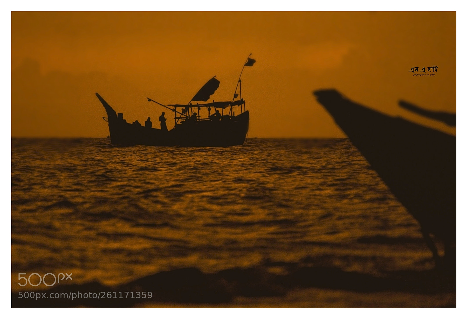 Canon EOS 60D sample photo. The series of yellow photography