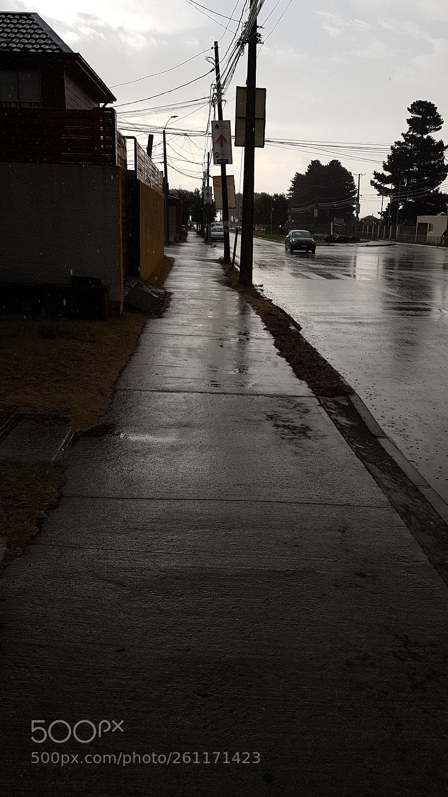 Samsung Galaxy S8 sample photo. Untitled photography