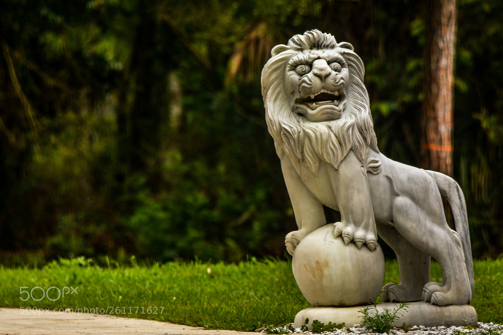 Nikon D5200 sample photo. The stone lion photography