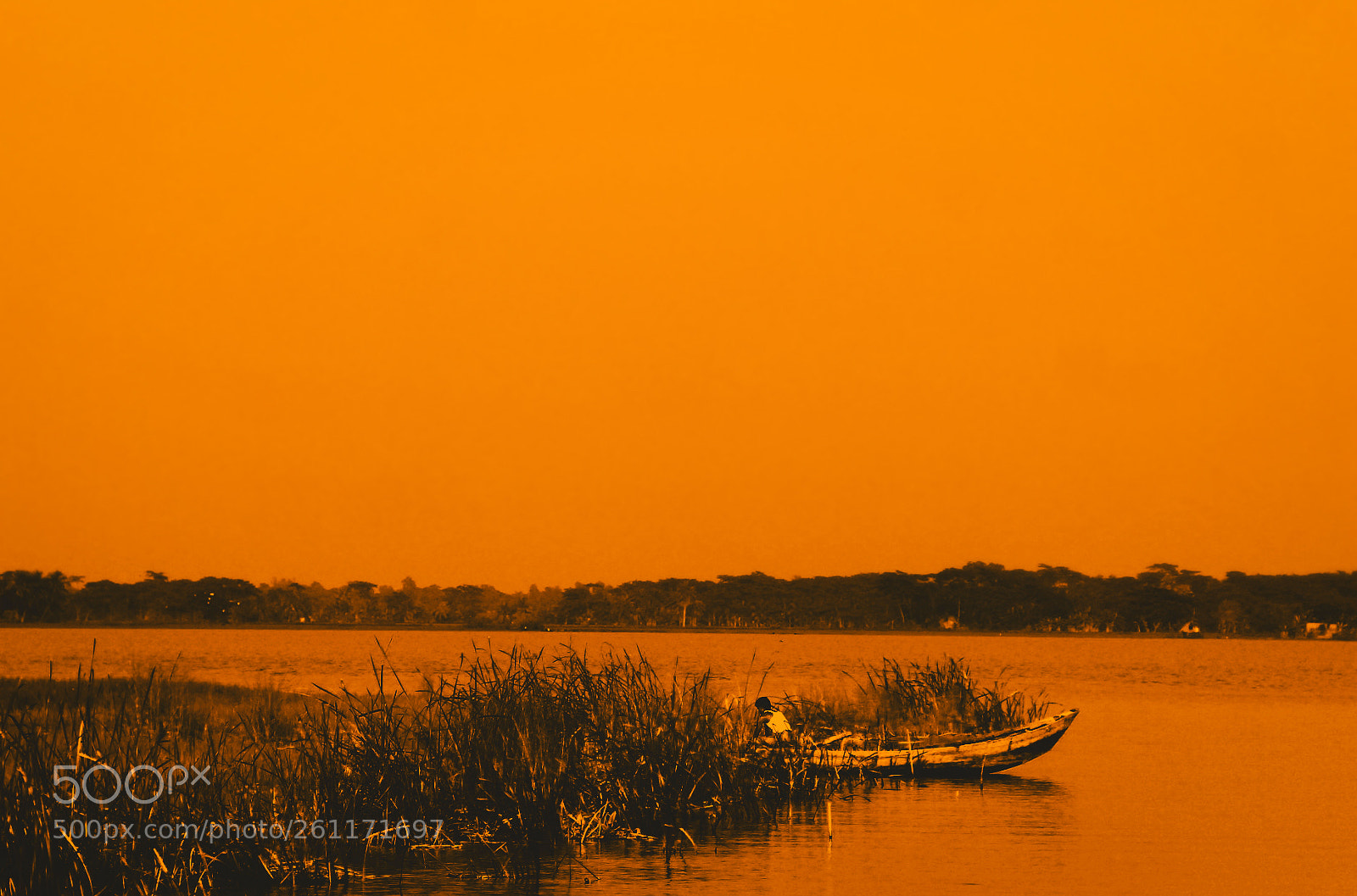 Canon EOS 60D sample photo. The series of yellow photography