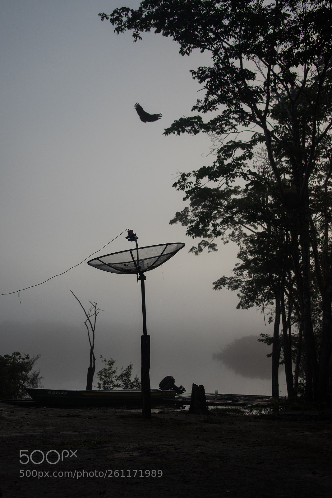 Nikon D750 sample photo. Amazon - igarapé xixuaú photography