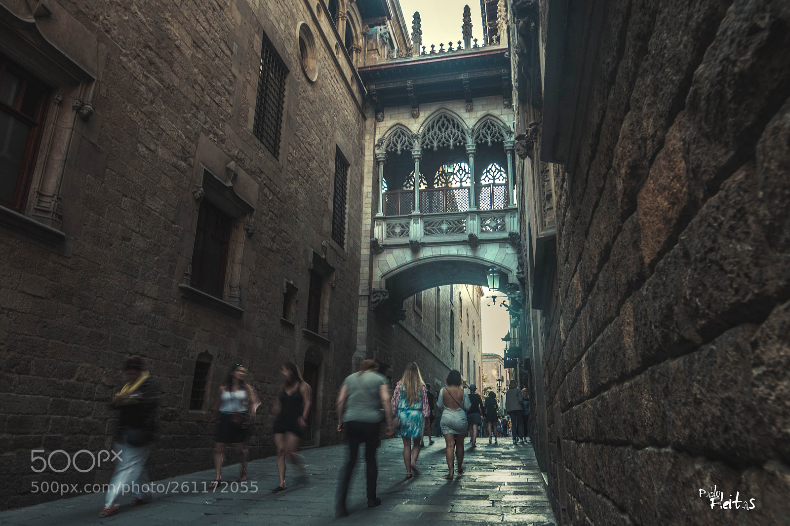 Canon EOS 70D sample photo. Gotico portico photography