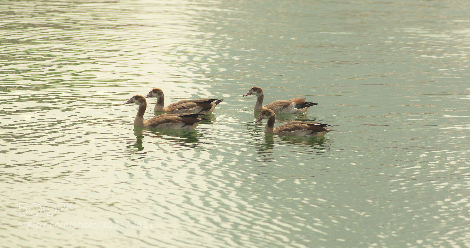 Canon EOS 5D Mark II sample photo. Untitled photography