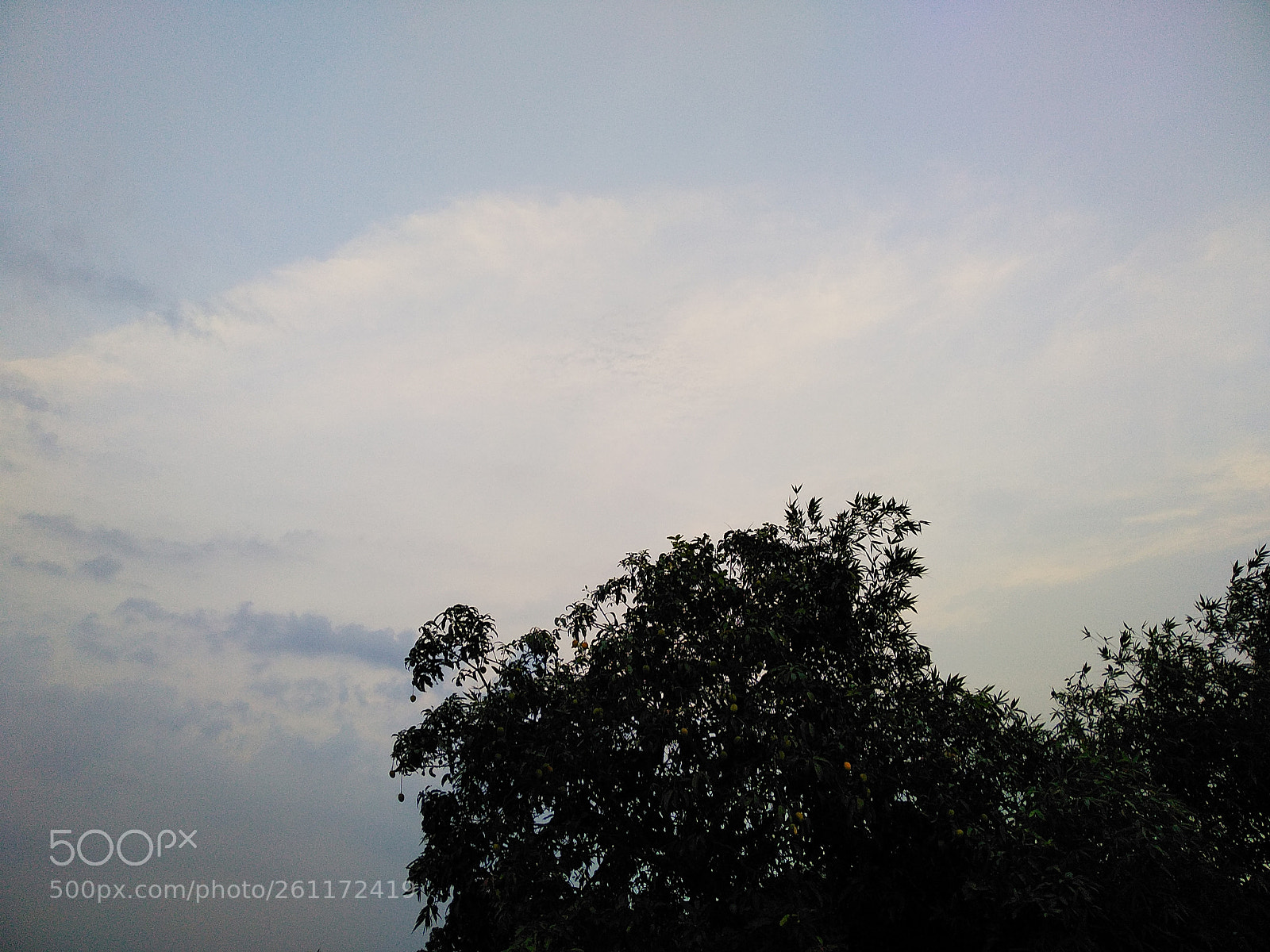 Xiaomi Redmi Note 5 sample photo. Untitled photography