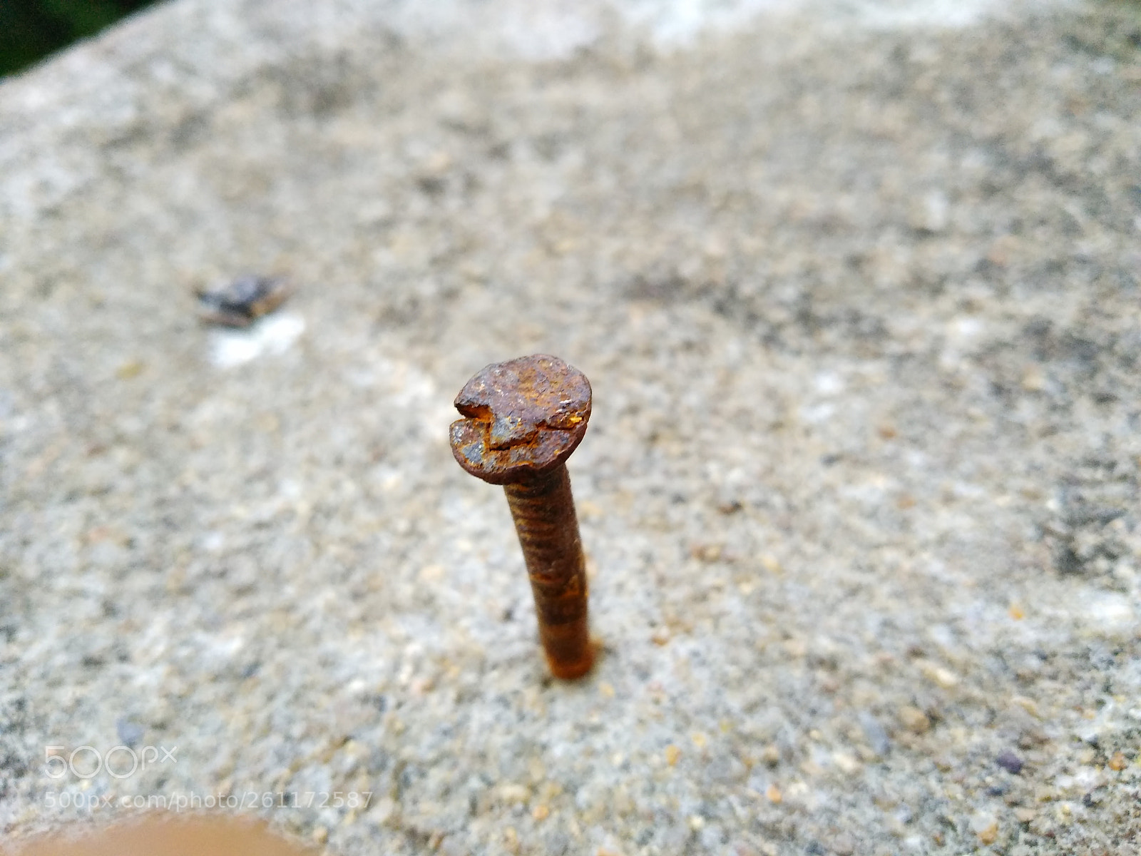Xiaomi Redmi Note 5 sample photo. Untitled photography