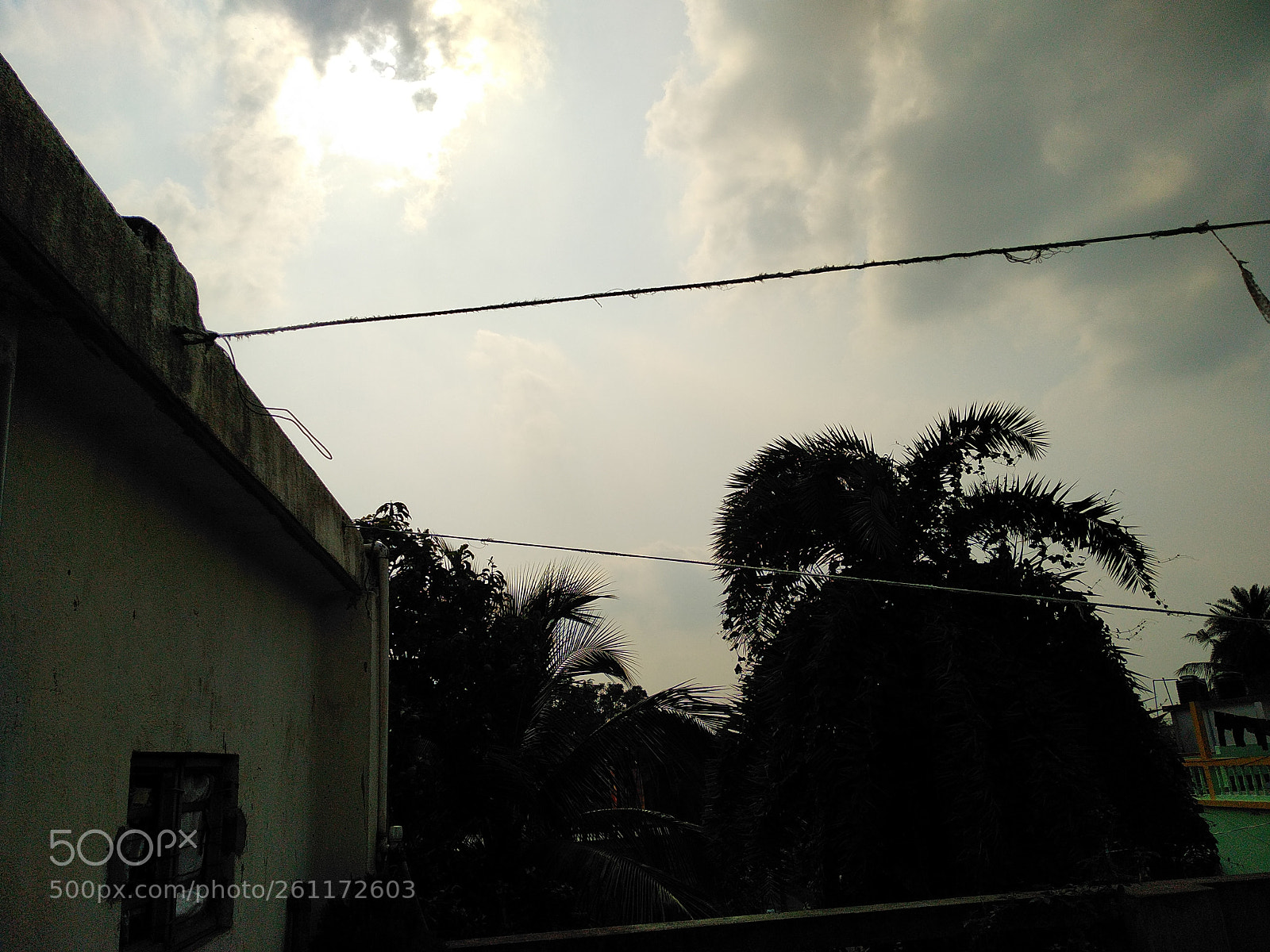 Xiaomi Redmi Note 5 sample photo. Untitled photography