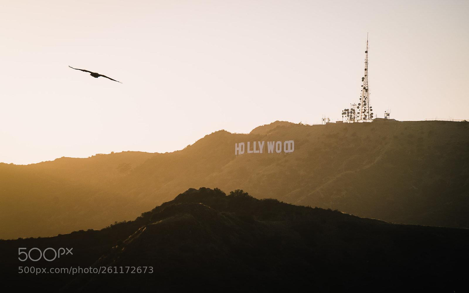 Sony a7R II sample photo. Hollywood photography