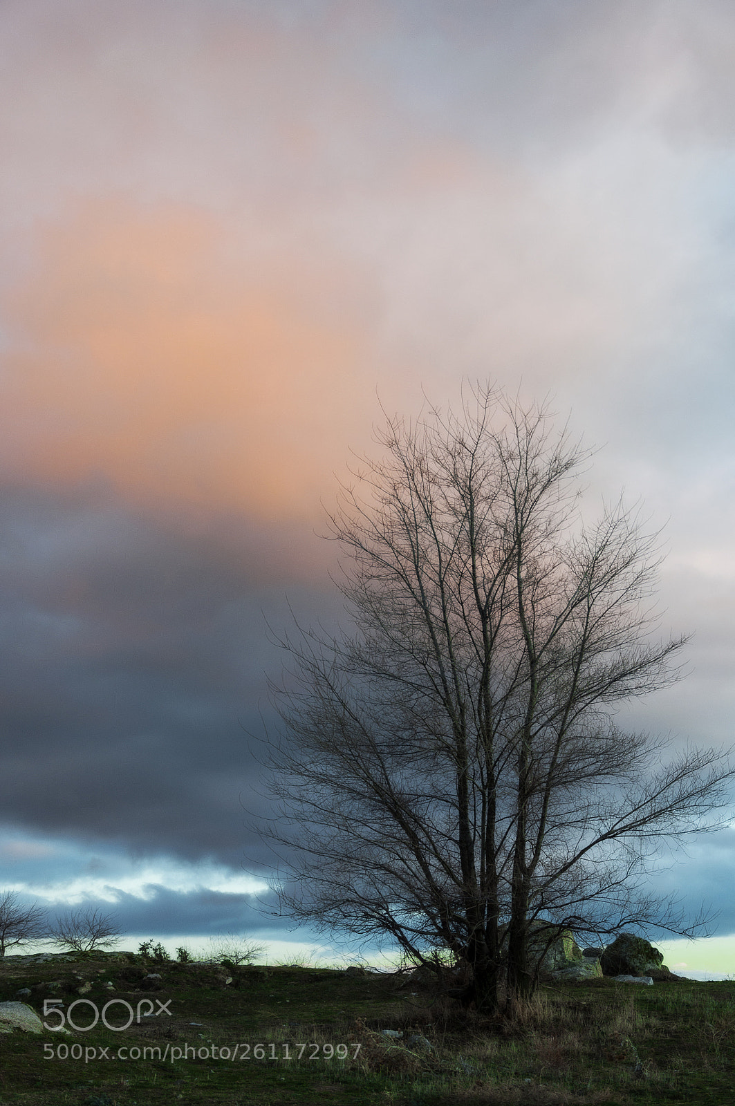 Nikon D90 sample photo. Atardecer photography