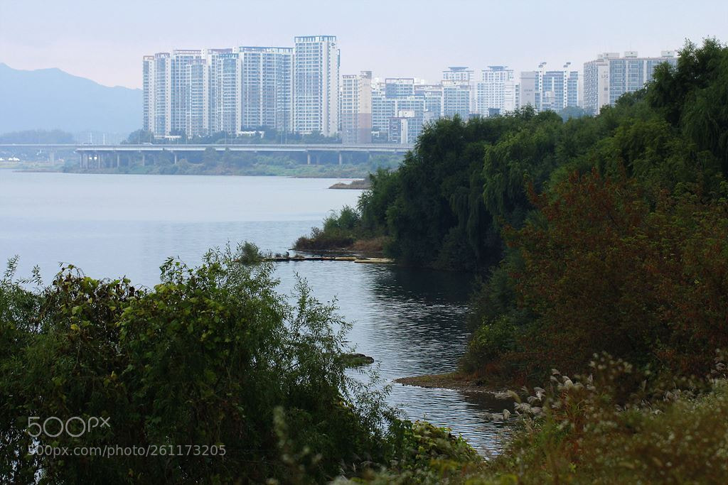 Canon EOS 60D sample photo. 강 건너(across the river) photography