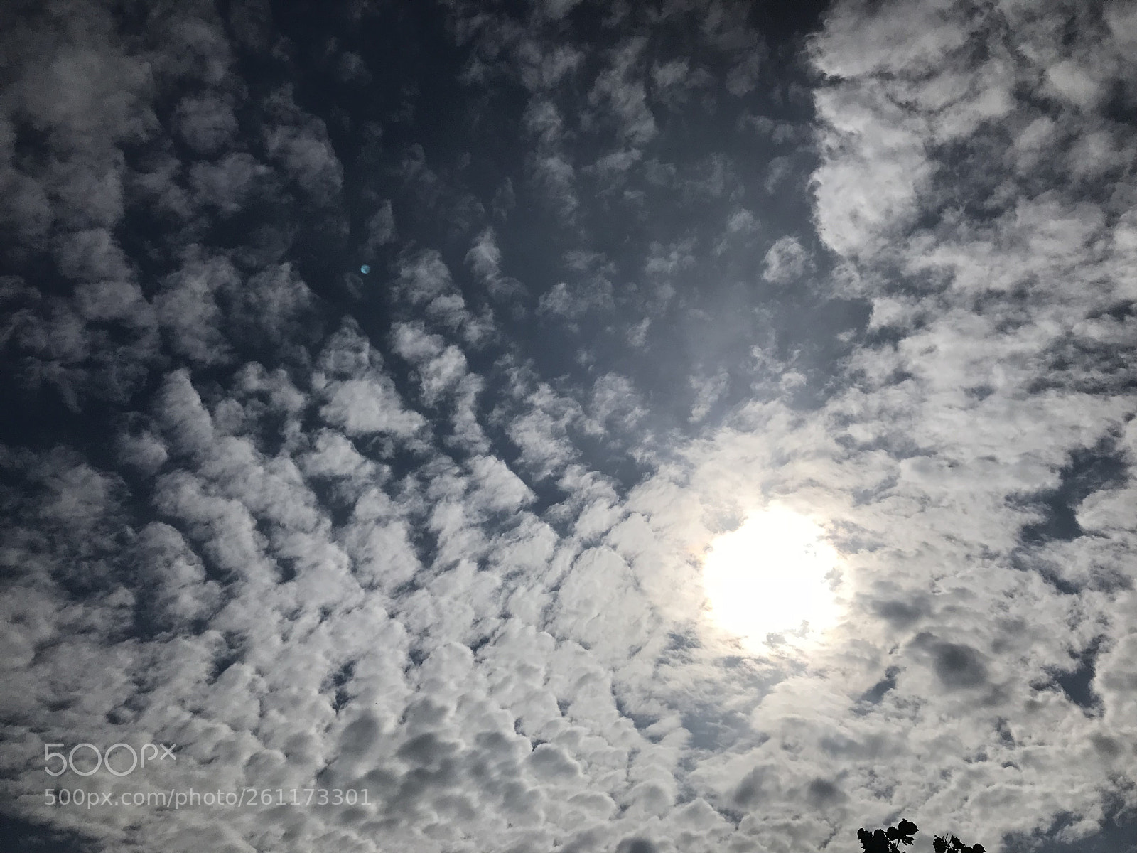 Apple iPhone 7 Plus sample photo. Hiding sun photography
