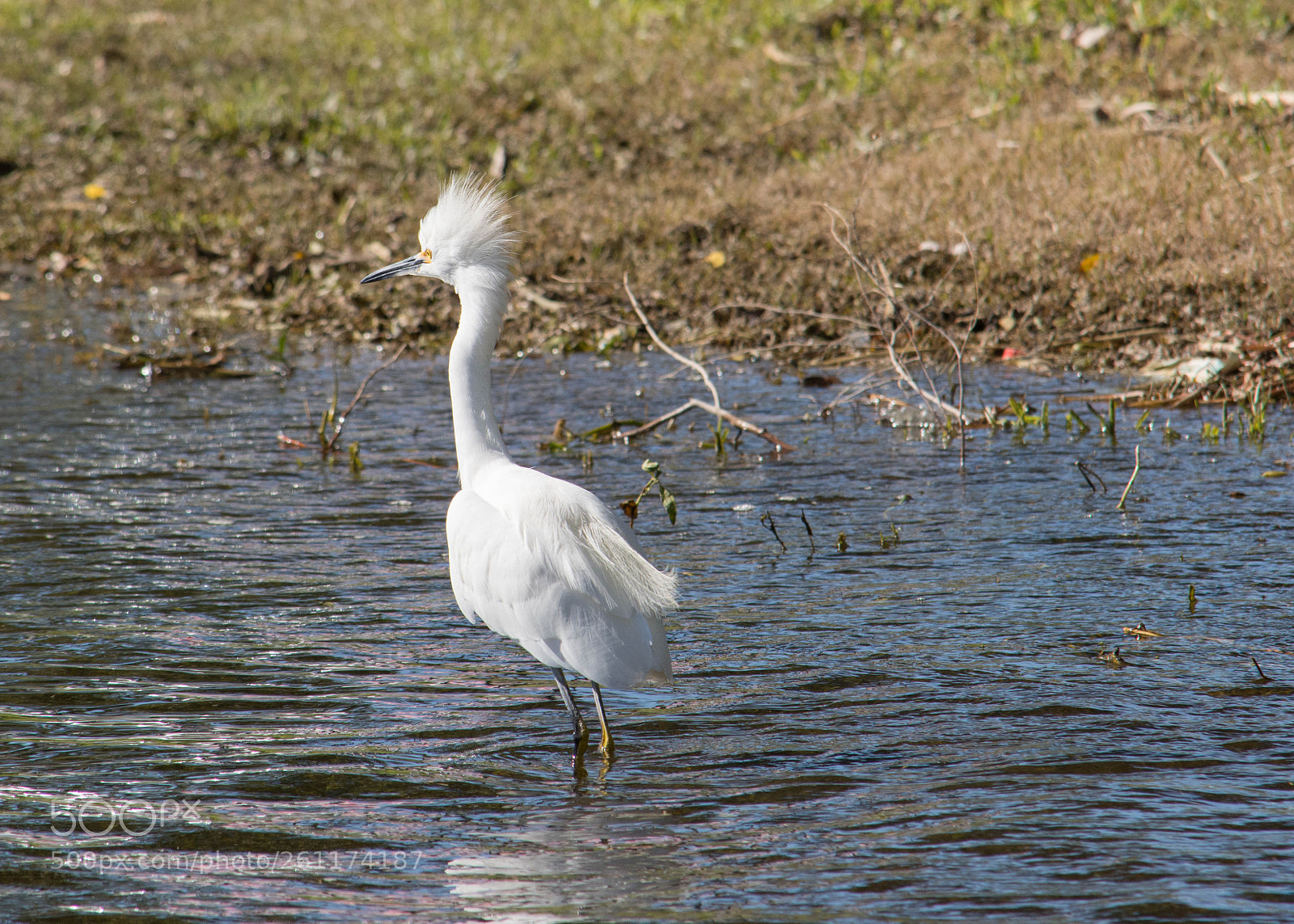 Nikon D7100 sample photo. Untitled photography