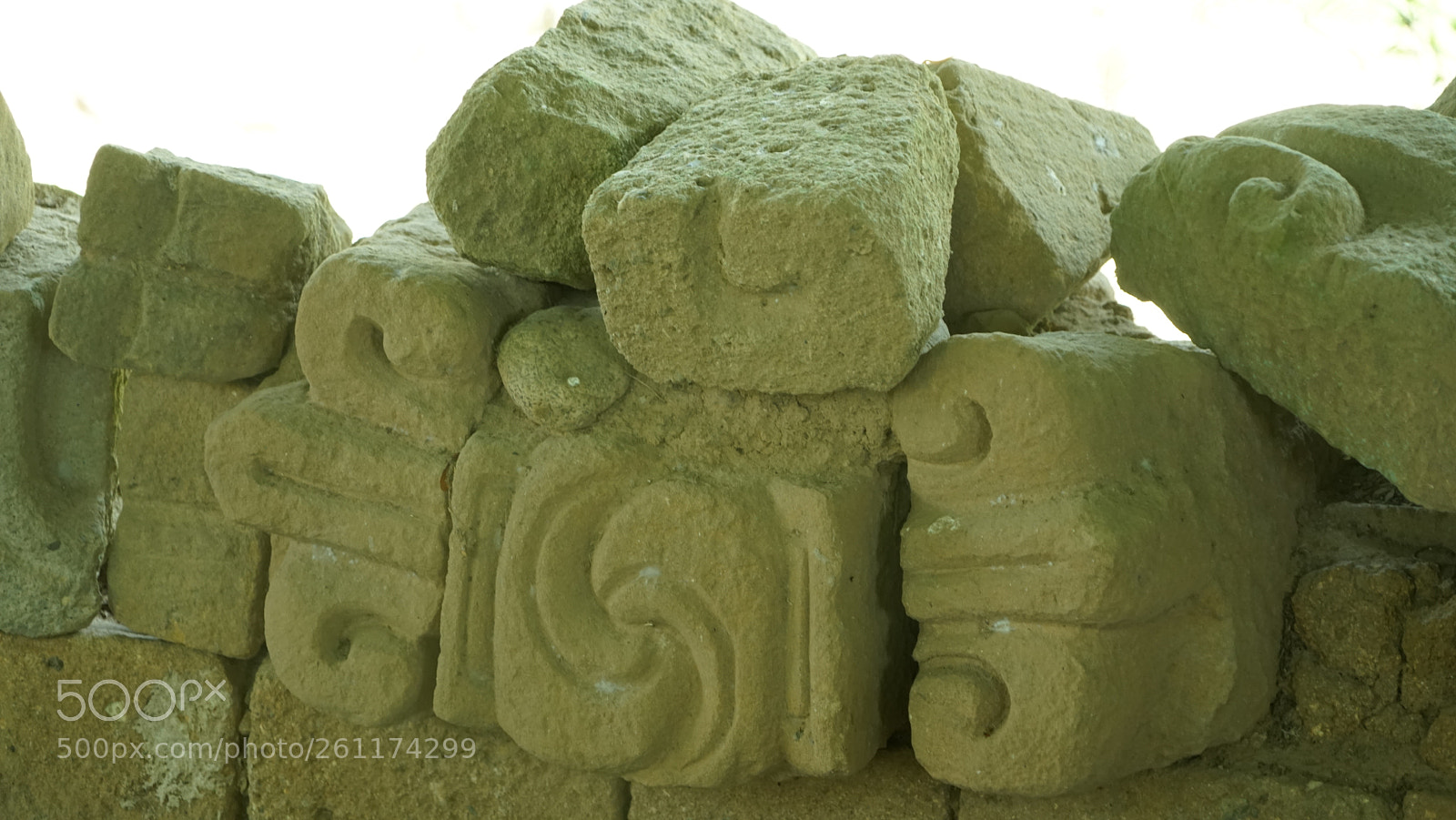 Sony a7R sample photo. Dsc photography