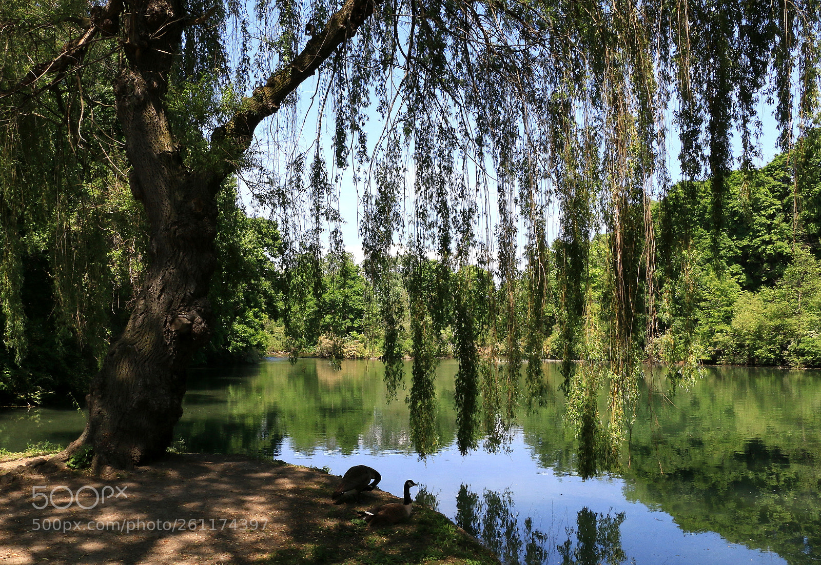 Canon EOS 70D sample photo. Dufferin islands 5 photography
