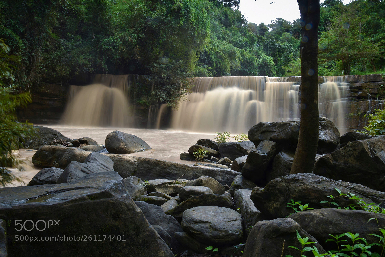 Nikon D750 sample photo. Sridit fall photography