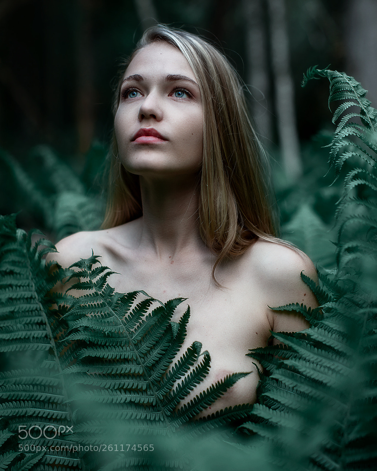 Canon EOS 5D Mark IV sample photo. Norwegian jungle ii photography