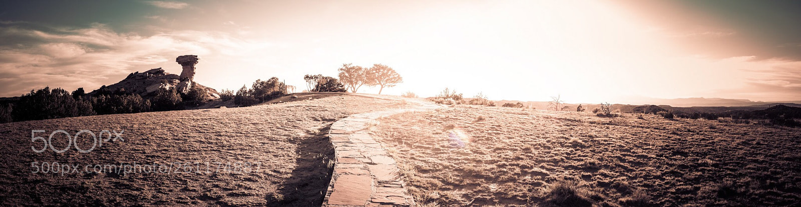 Nikon D500 sample photo. Camel rock photography