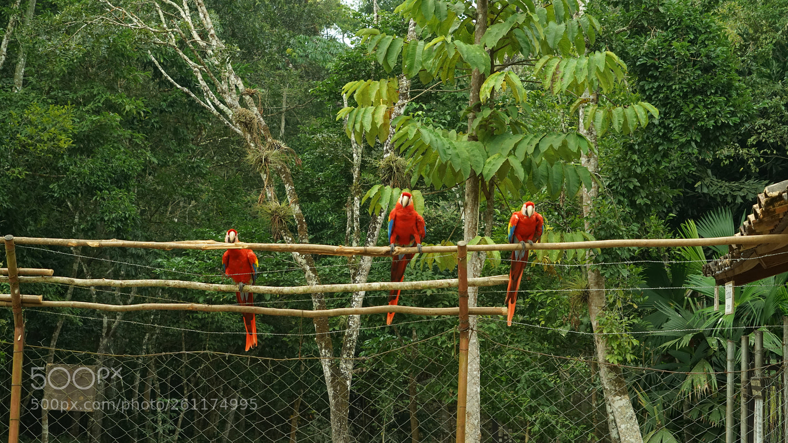 Sony a7R sample photo. Dsc photography