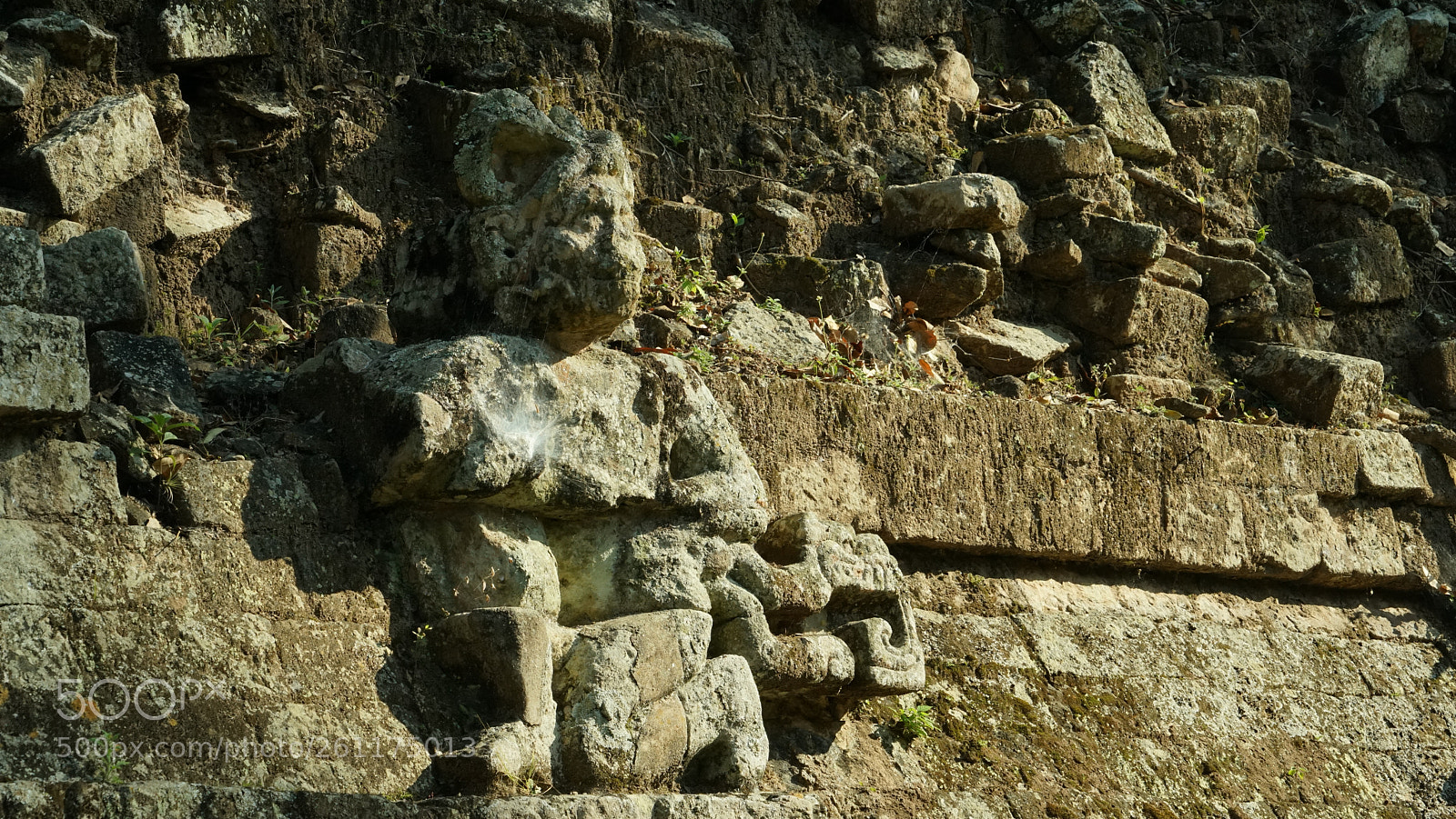 Sony a7R sample photo. Dsc photography