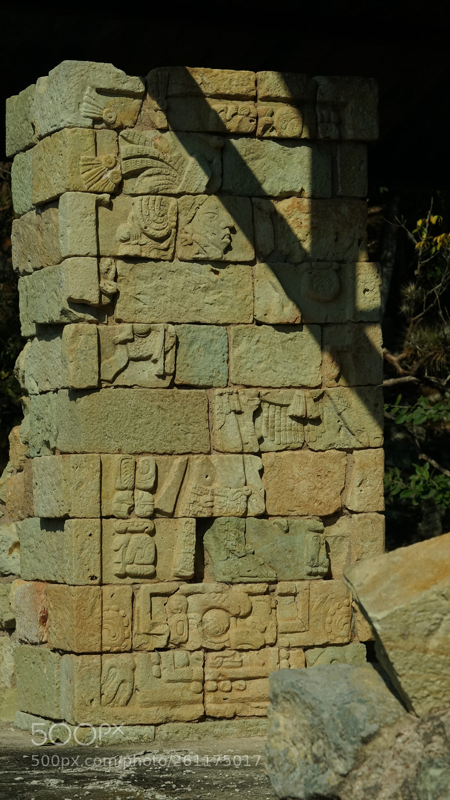 Sony a7R sample photo. Dsc photography