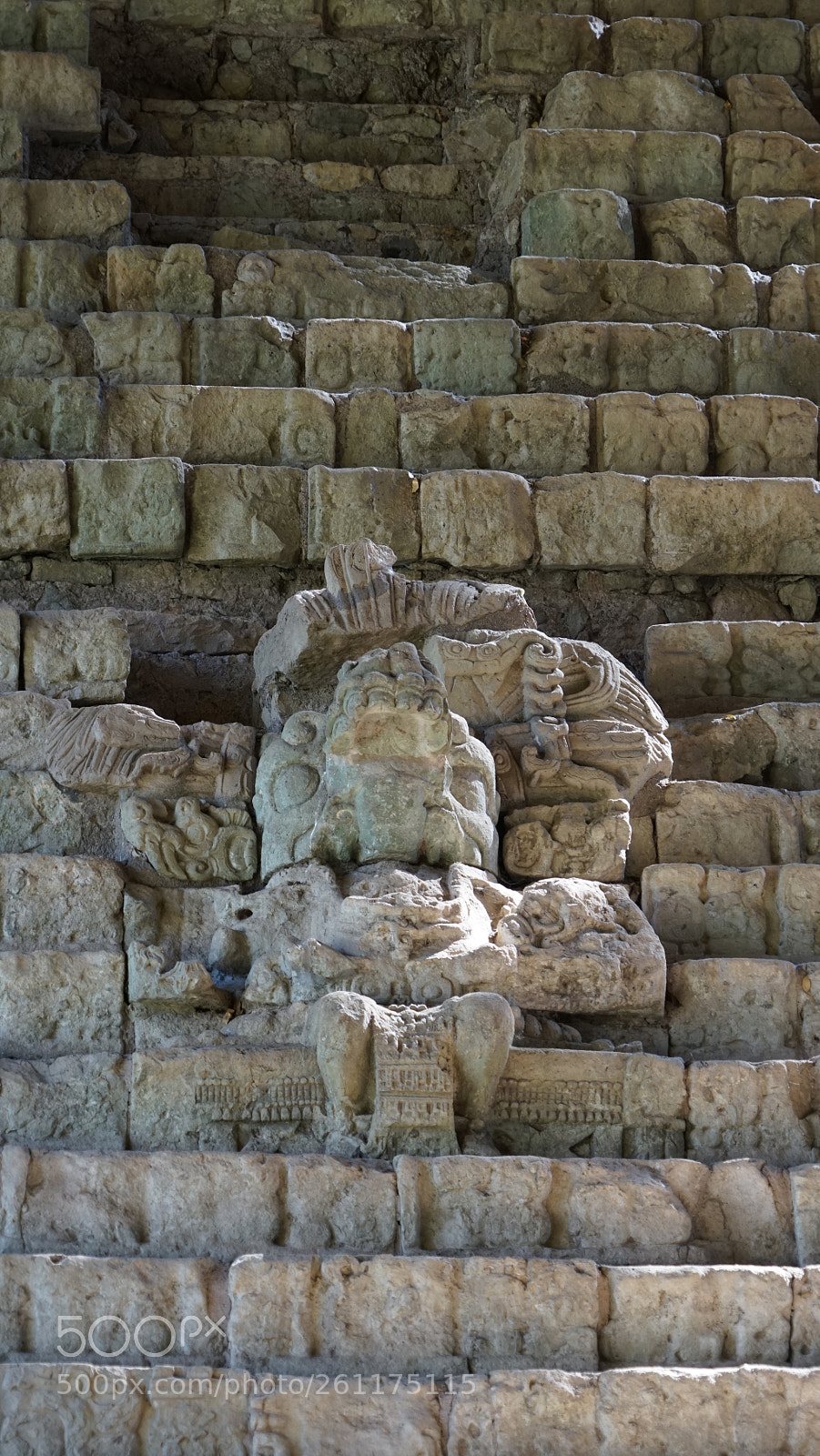 Sony a7R sample photo. Dsc photography