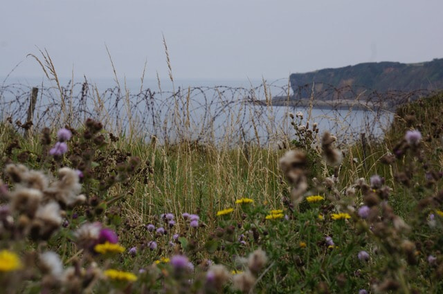 Sony Alpha NEX-5N sample photo. Omaha beach photography