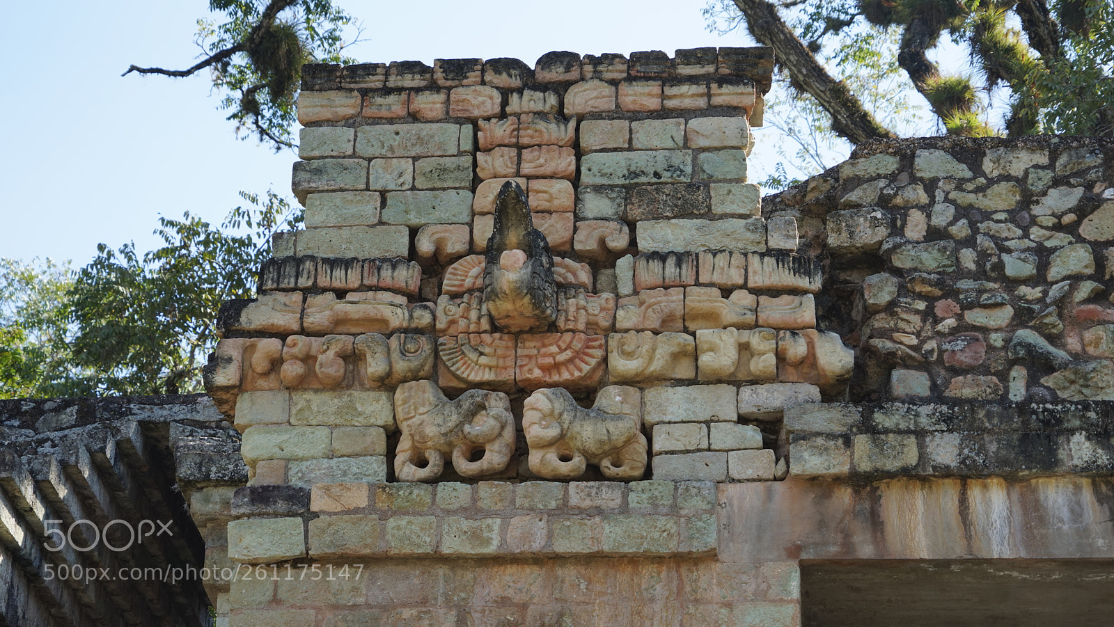 Sony a7R sample photo. Dsc photography