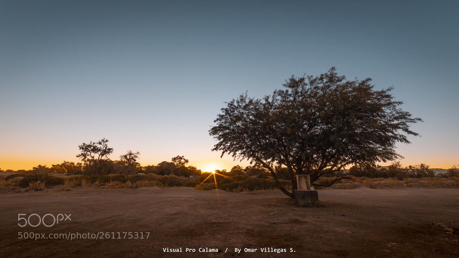 Canon EOS 6D Mark II sample photo. Untitled photography