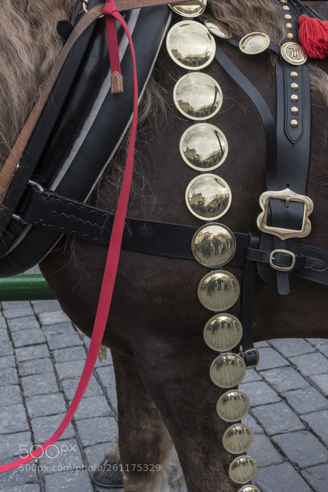 Nikon D810 sample photo. Close-up of a decorated photography