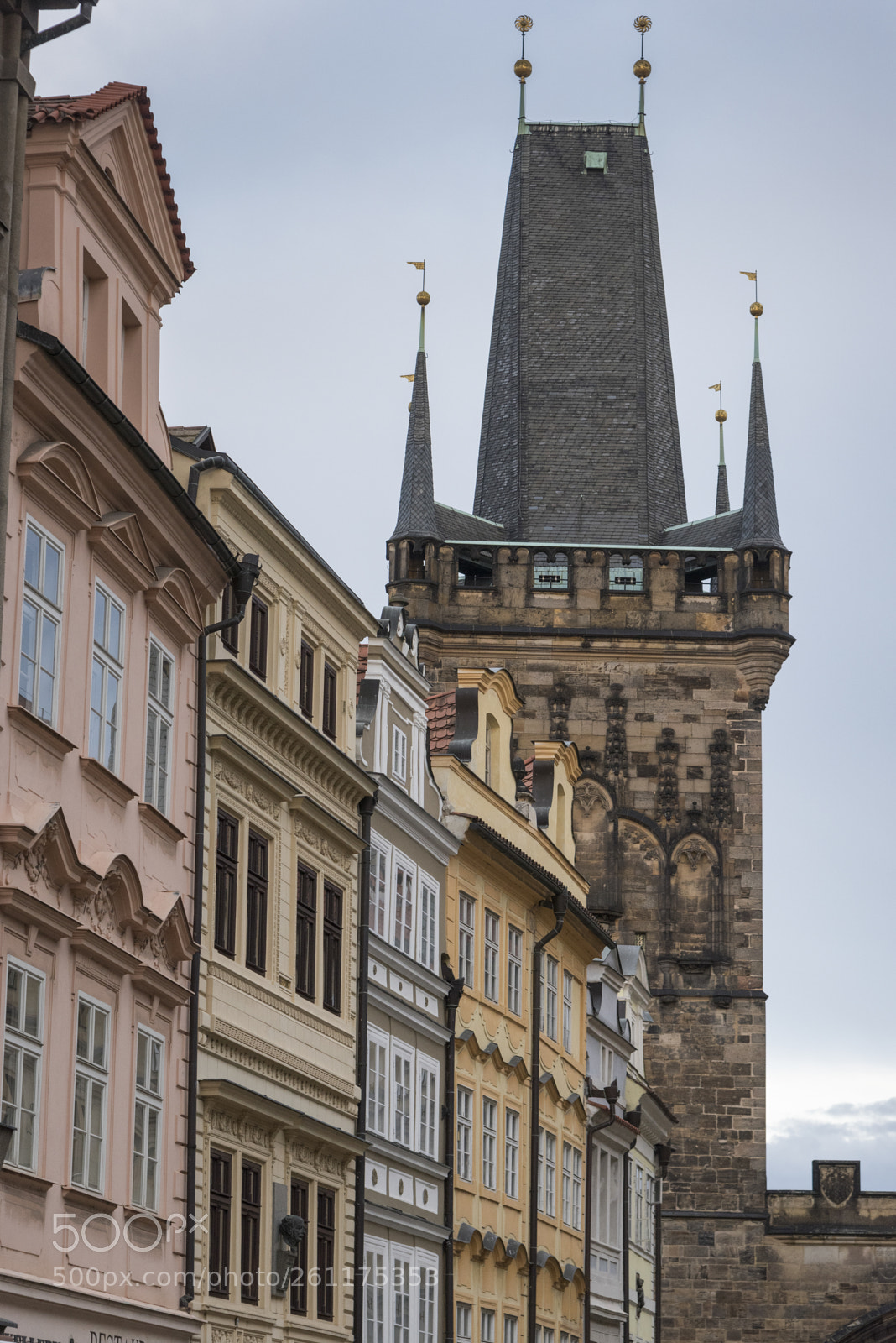 Nikon D810 sample photo. Low angle view of photography