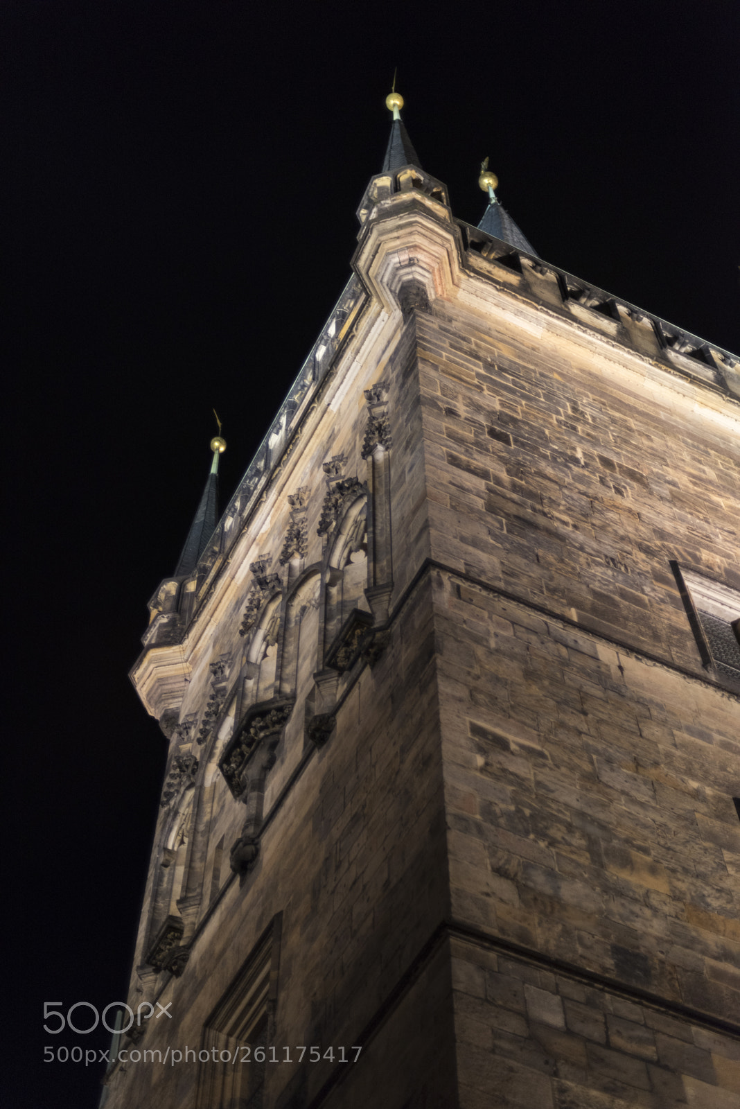 Nikon D810 sample photo. Low angle view of photography
