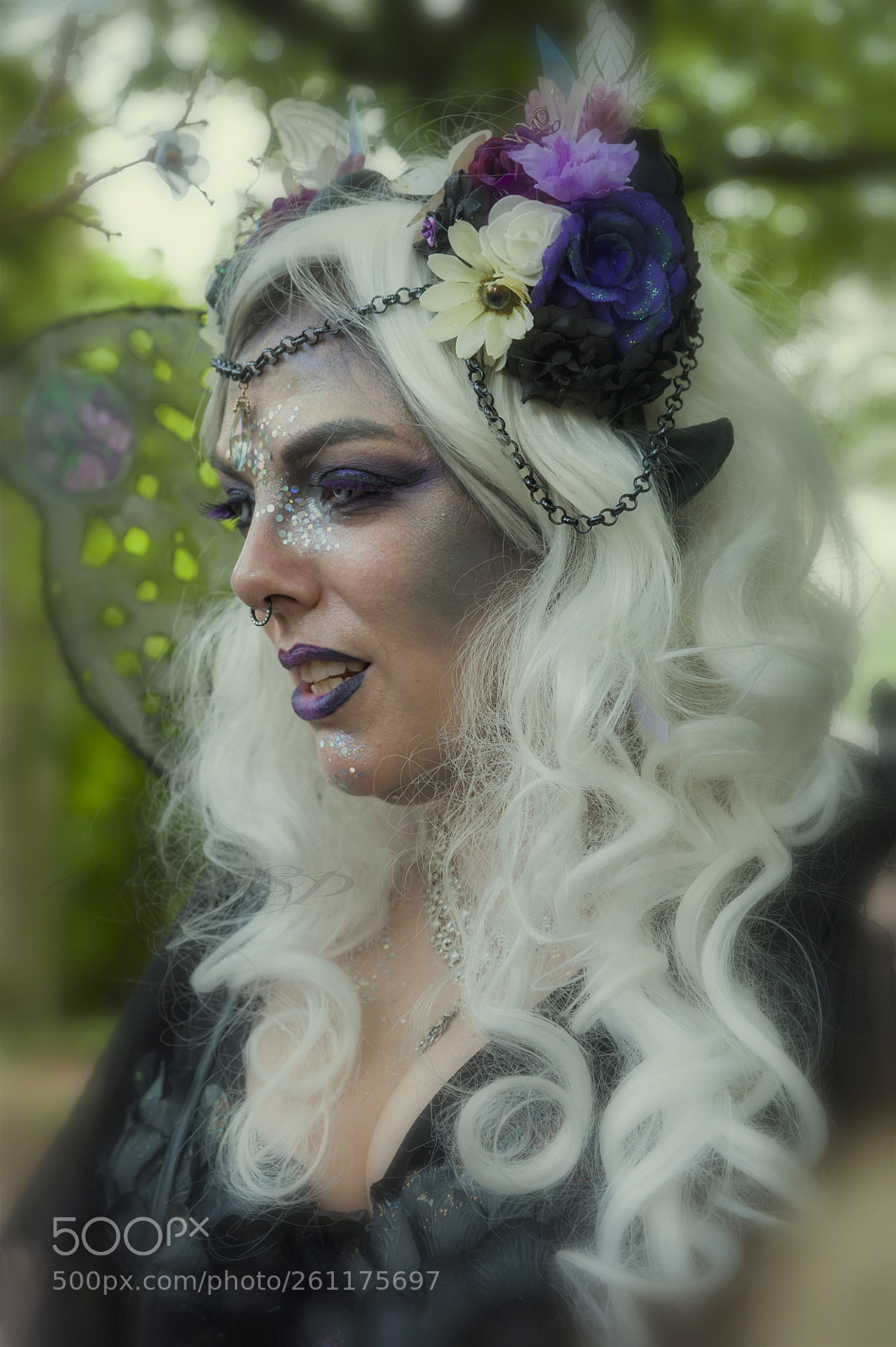 Nikon D700 sample photo. Festival delle fate photography
