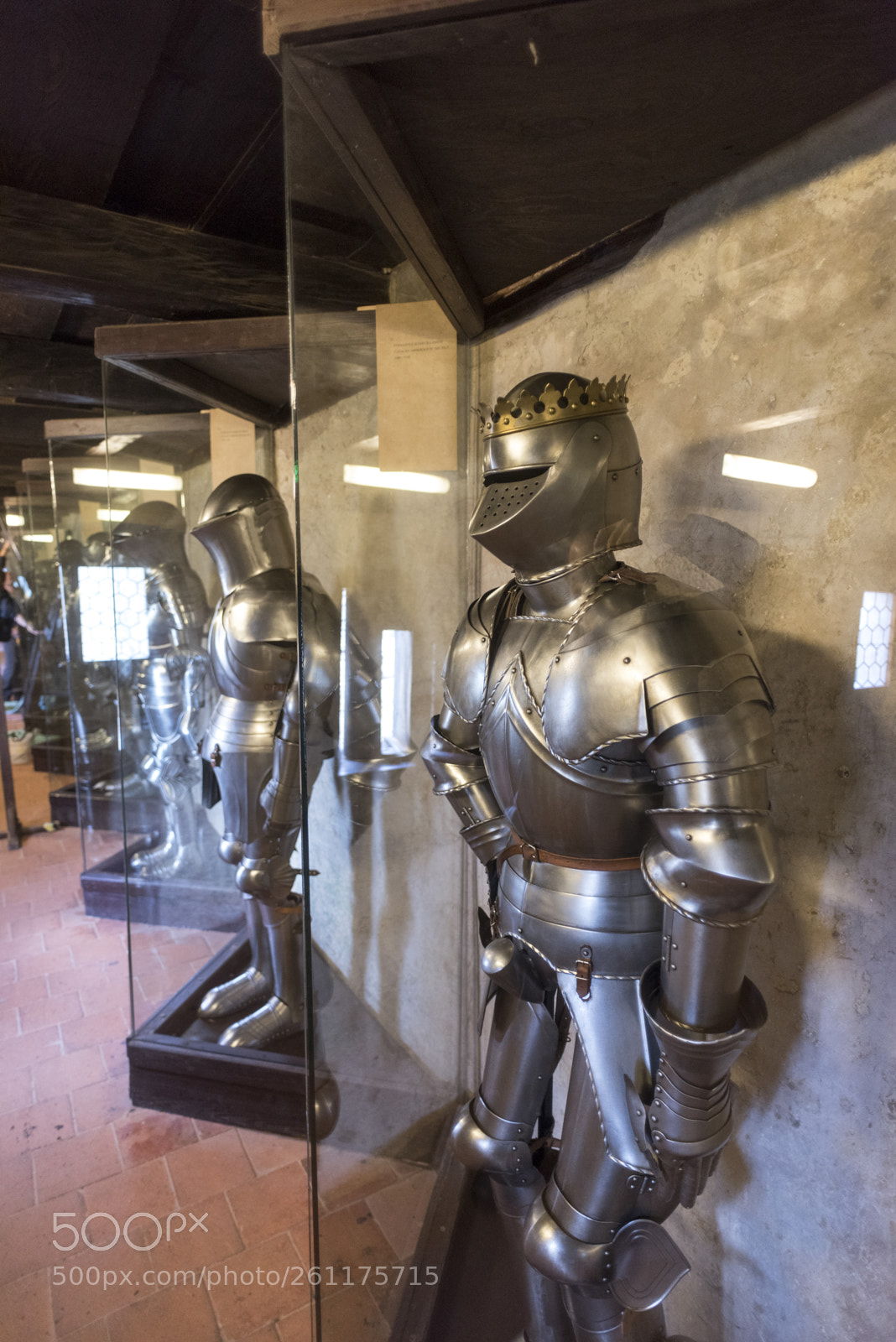 Nikon D810 sample photo. Encased suits of armor photography