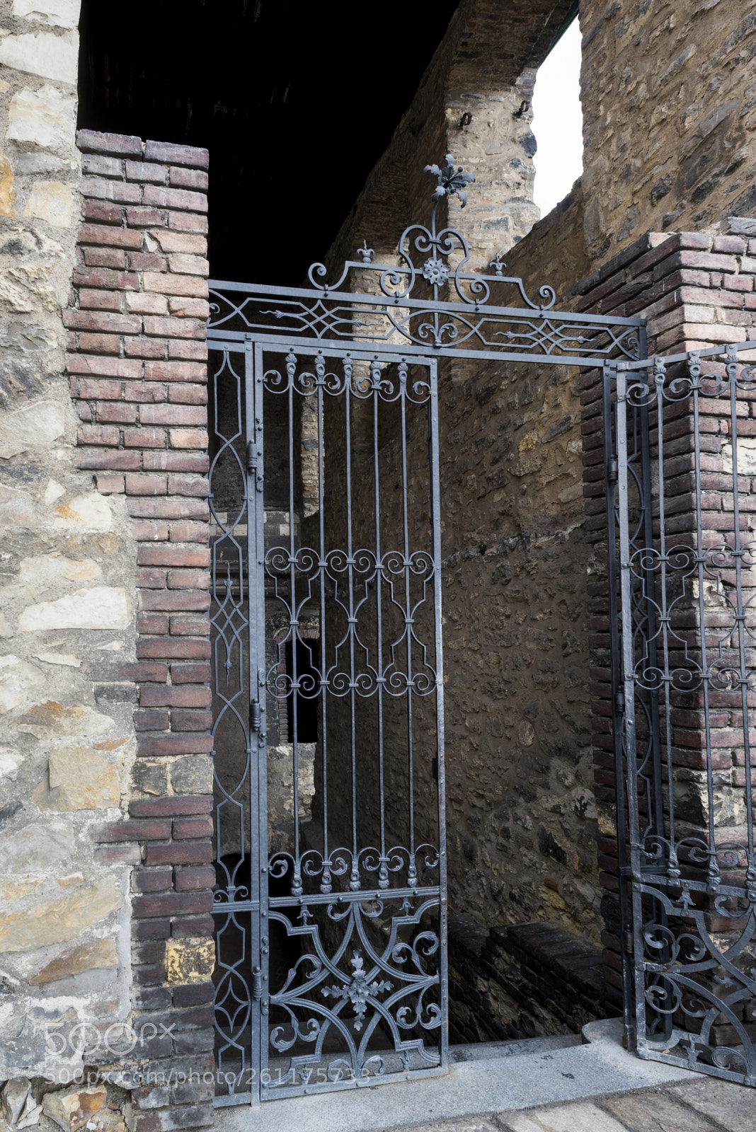 Nikon D810 sample photo. Gate at entrance to photography
