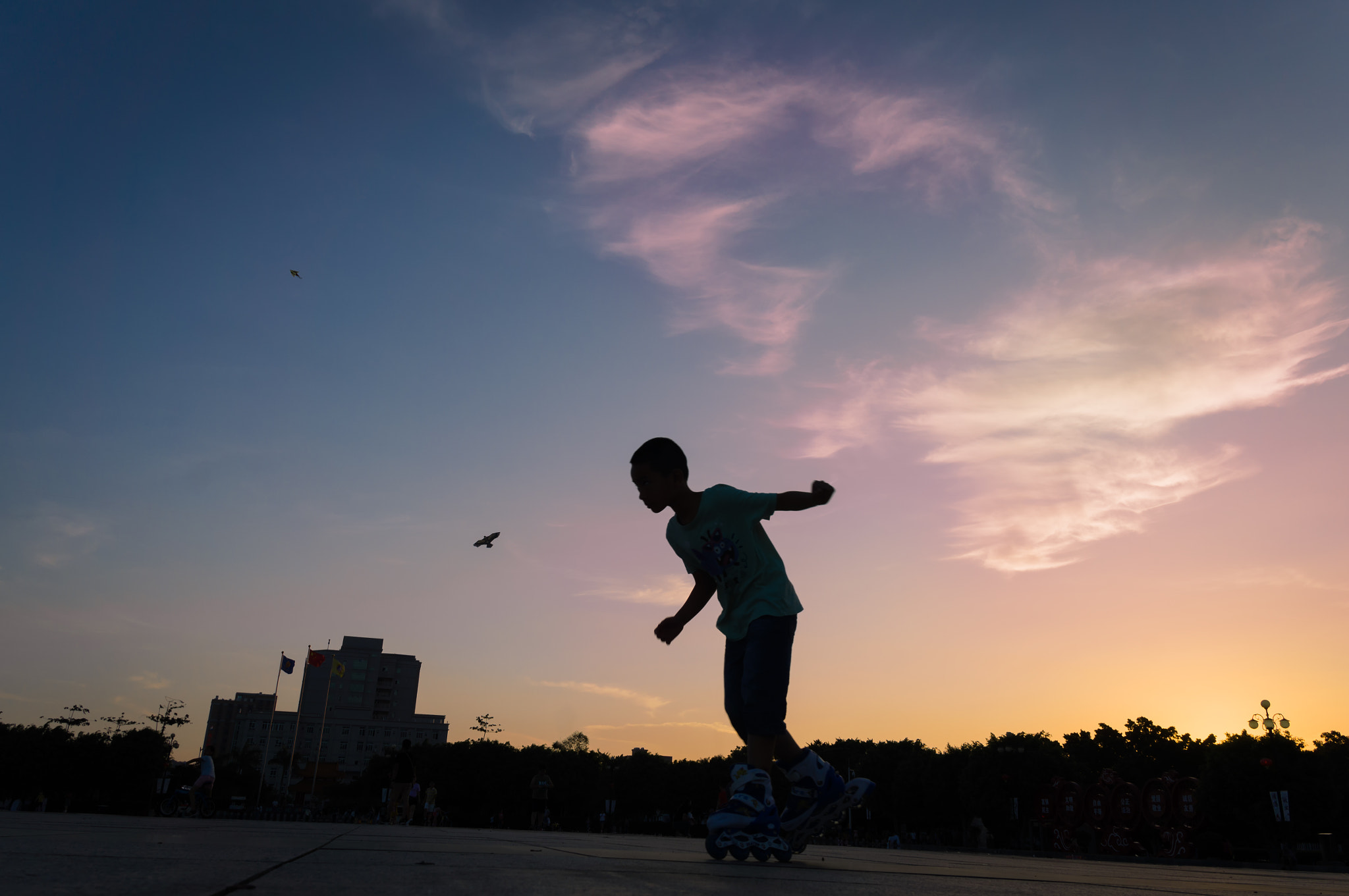 Sony Alpha NEX-5N sample photo. The skateboard kid photography