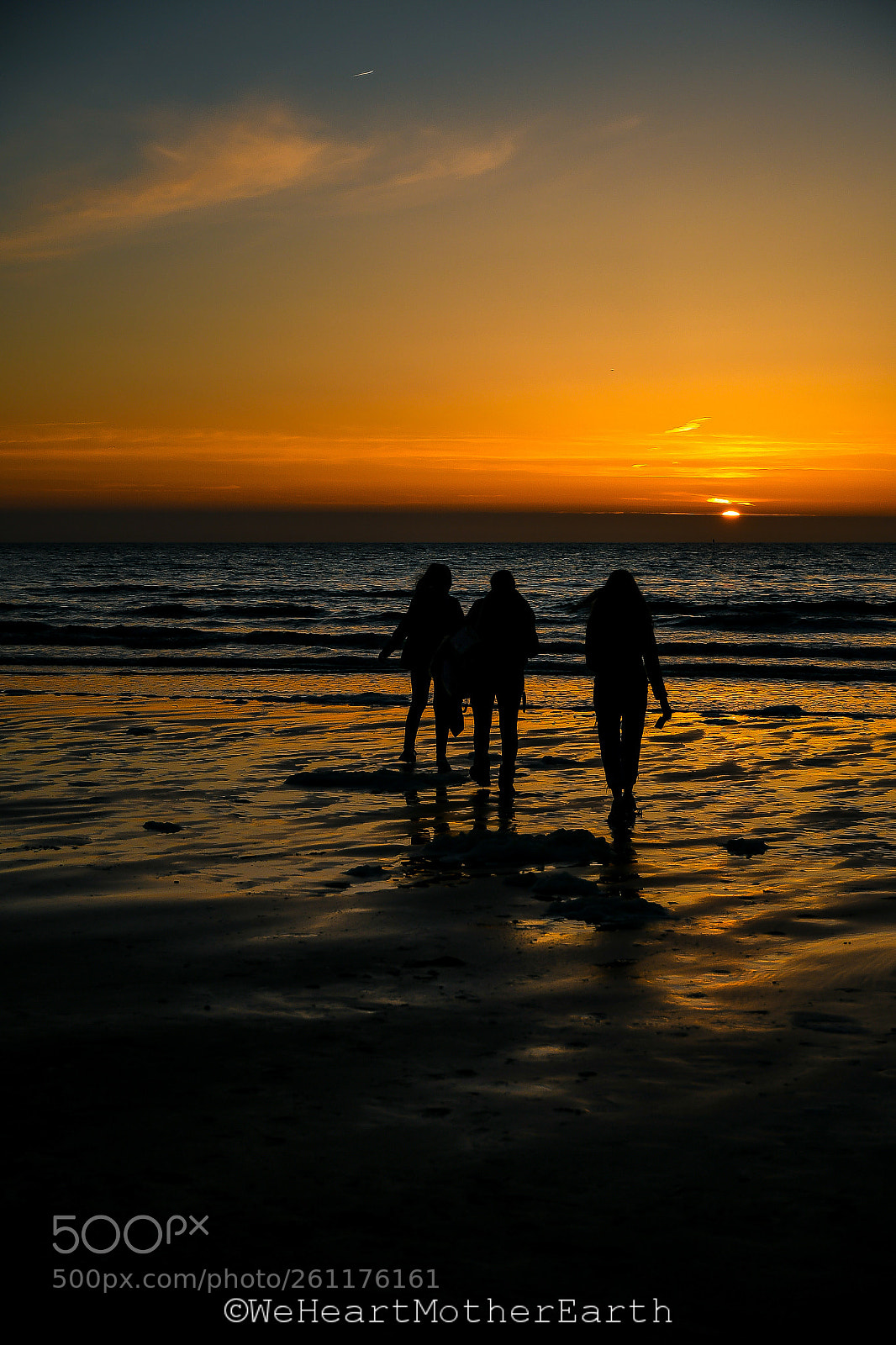Nikon D500 sample photo. To the heart in photography