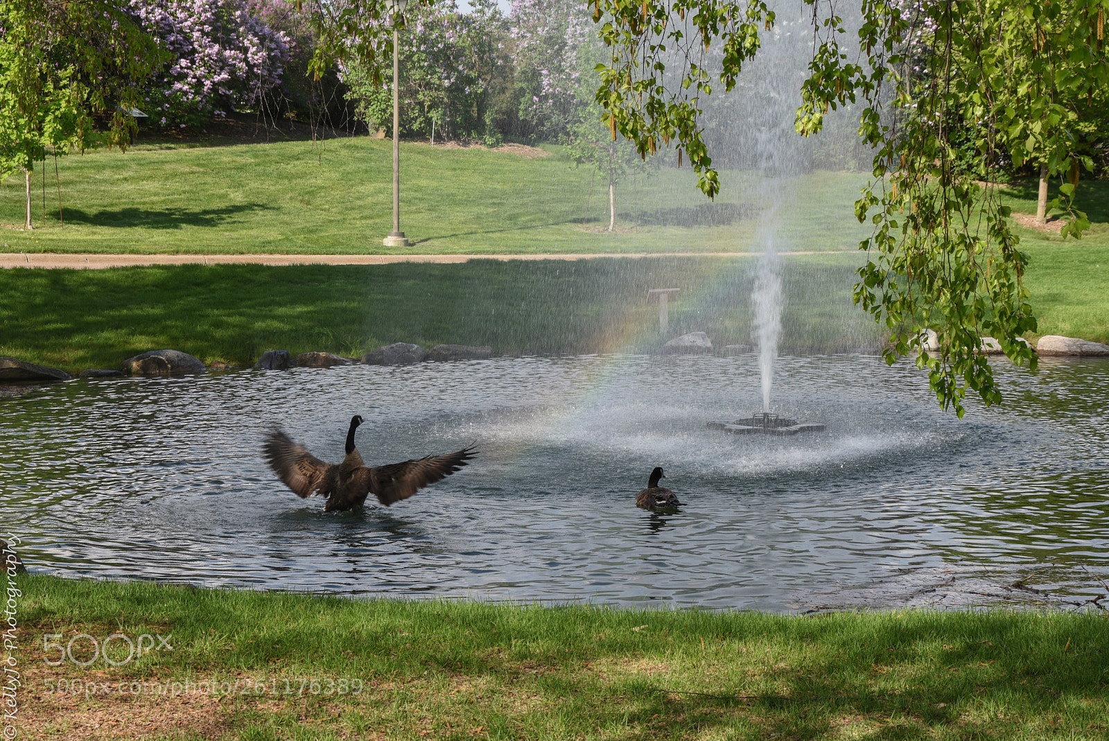 Nikon D750 sample photo. Over the rainbow photography
