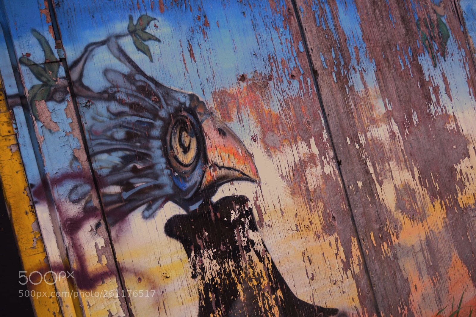 Nikon D5500 sample photo. Birdman. photography