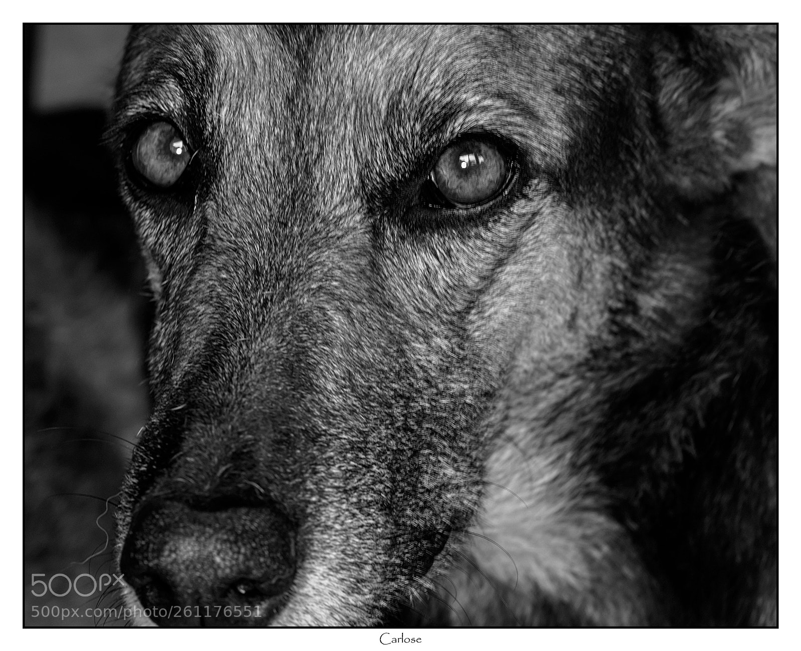 Nikon D750 sample photo. Lisa photography
