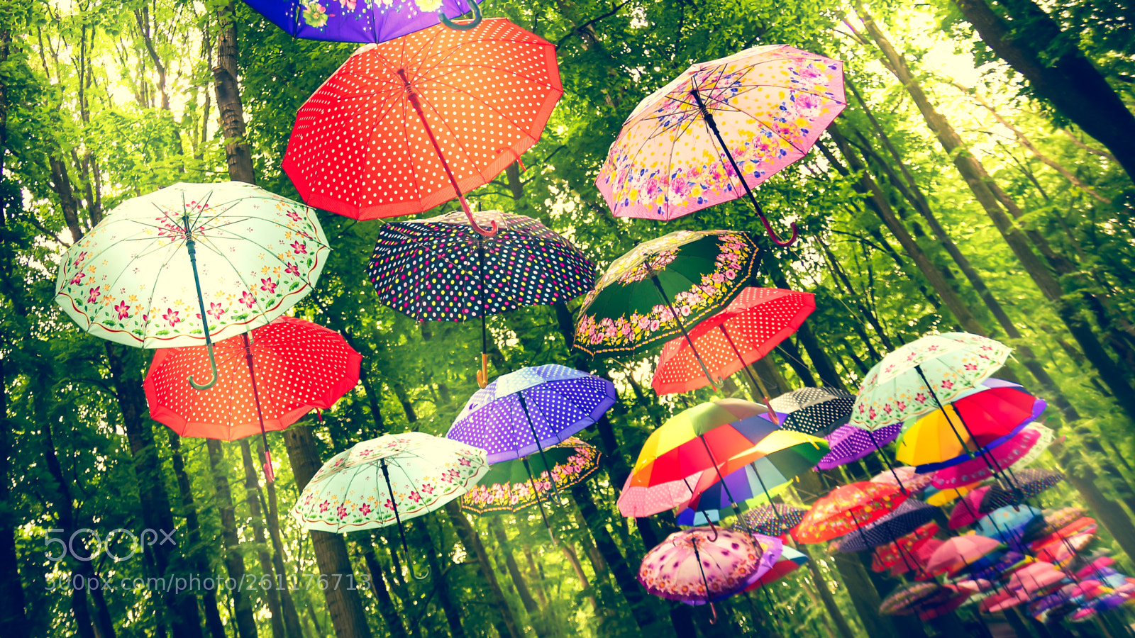 Nikon D7200 sample photo. Sunny summer day in photography