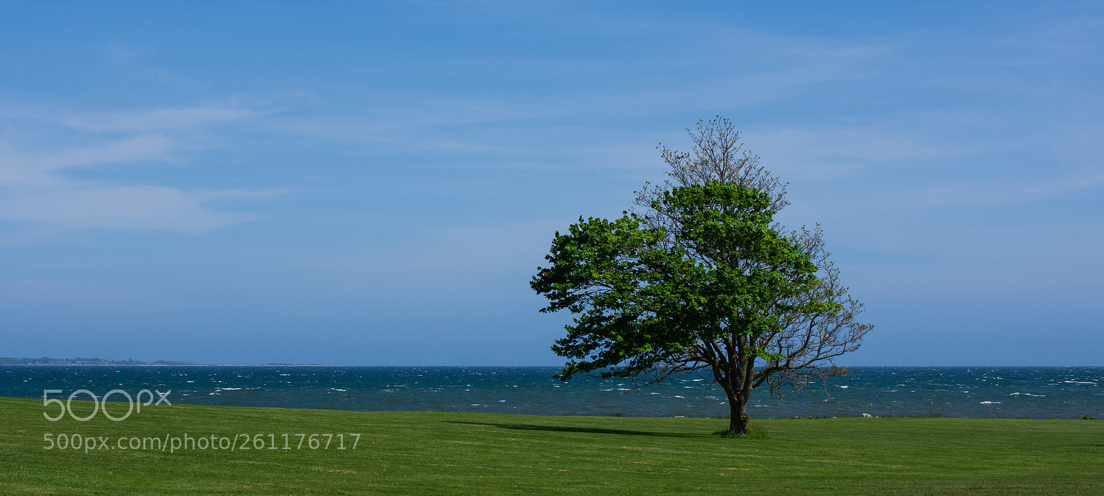 Nikon D7200 sample photo. Solitude photography