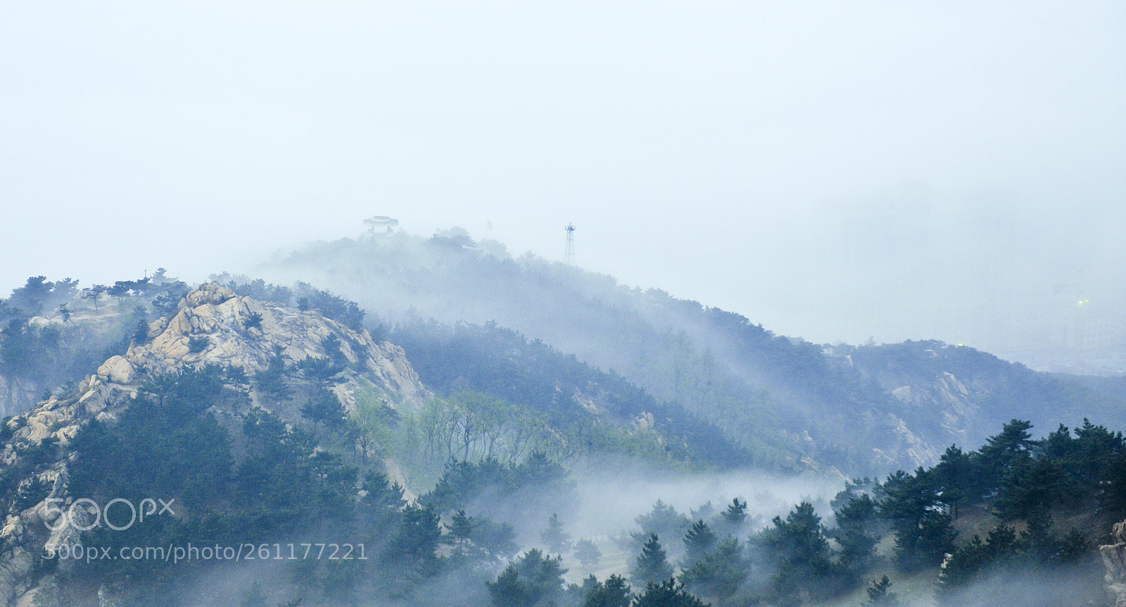 Nikon D700 sample photo. 489862270.jpg photography