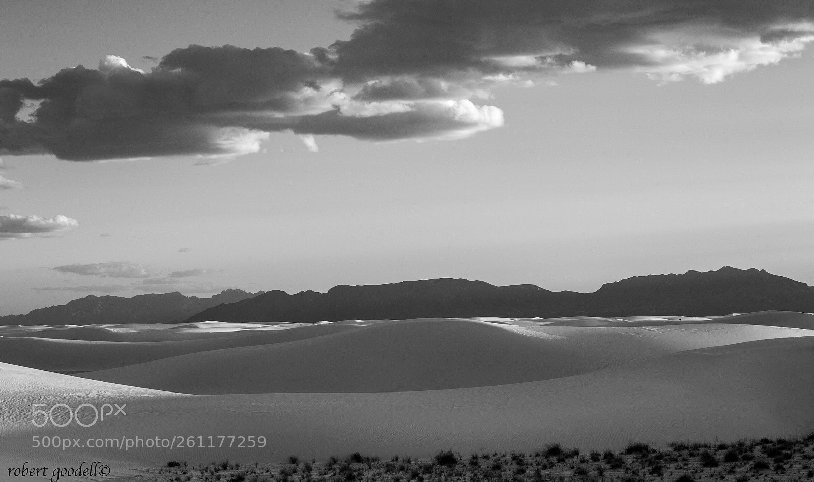 Nikon D4 sample photo. White sands photography