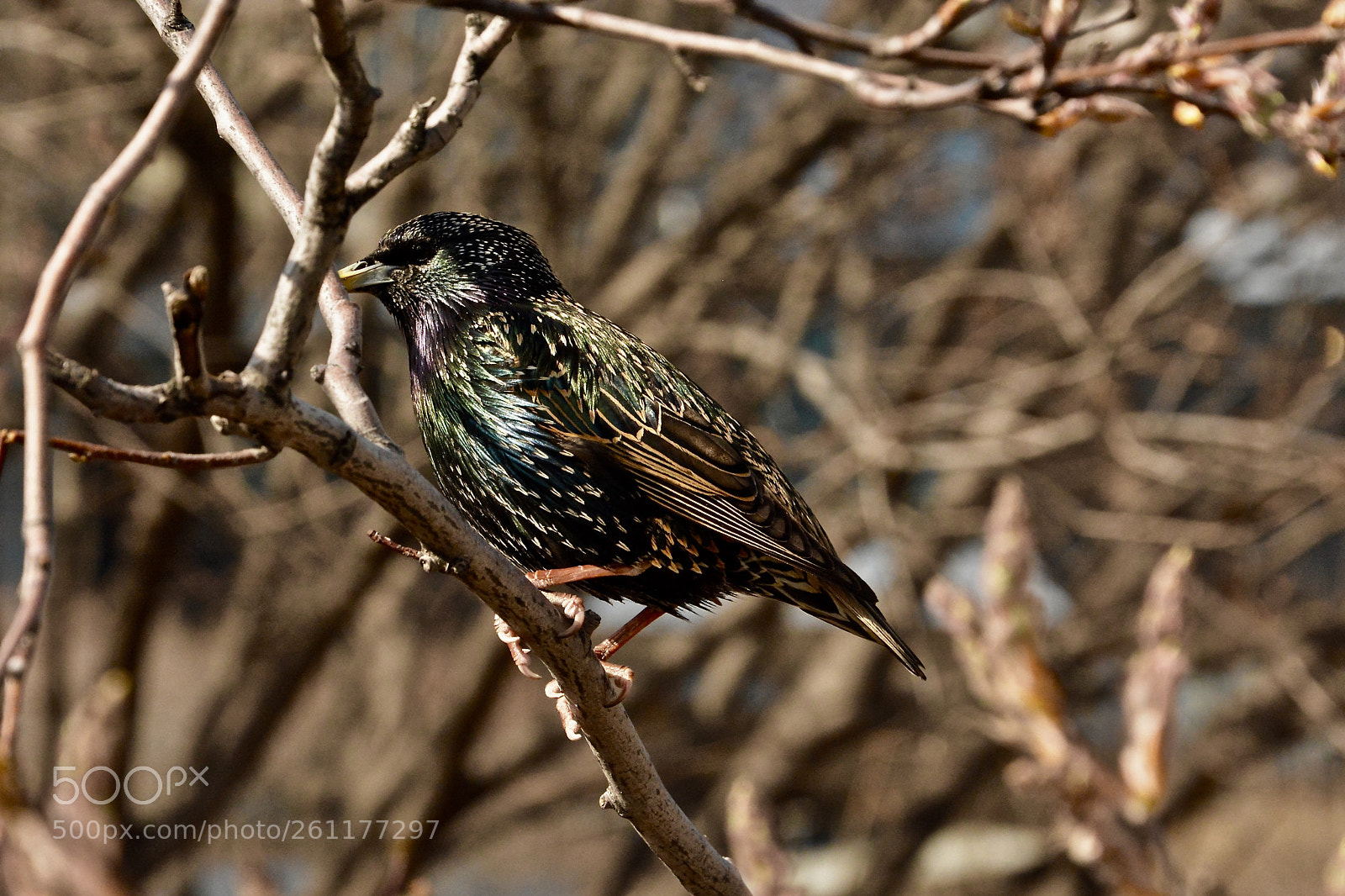 Nikon D7100 sample photo. Fullsizeoutput e photography