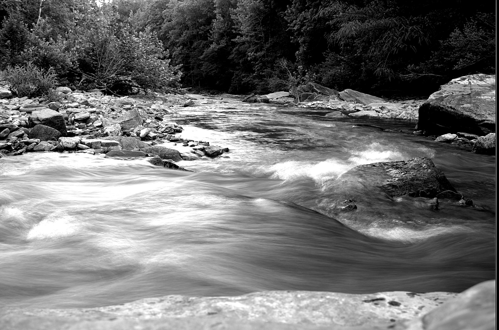 Nikon D610 sample photo. Flowing b&w photography