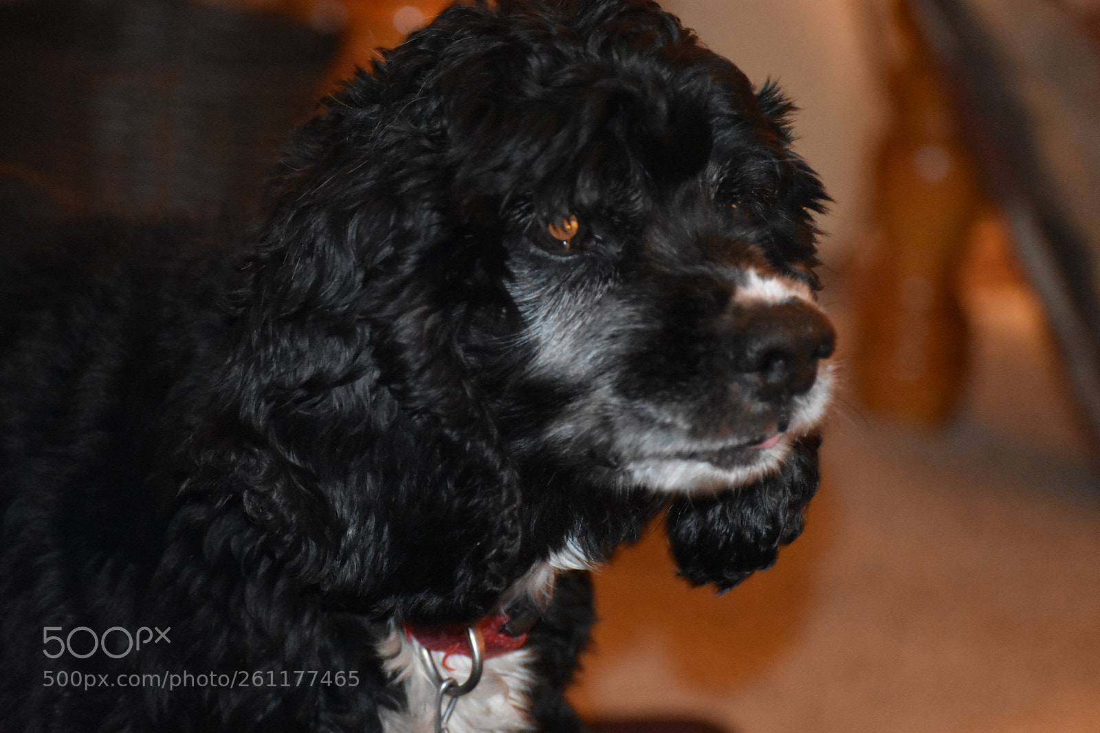 Nikon D3400 sample photo. Yu rock photography