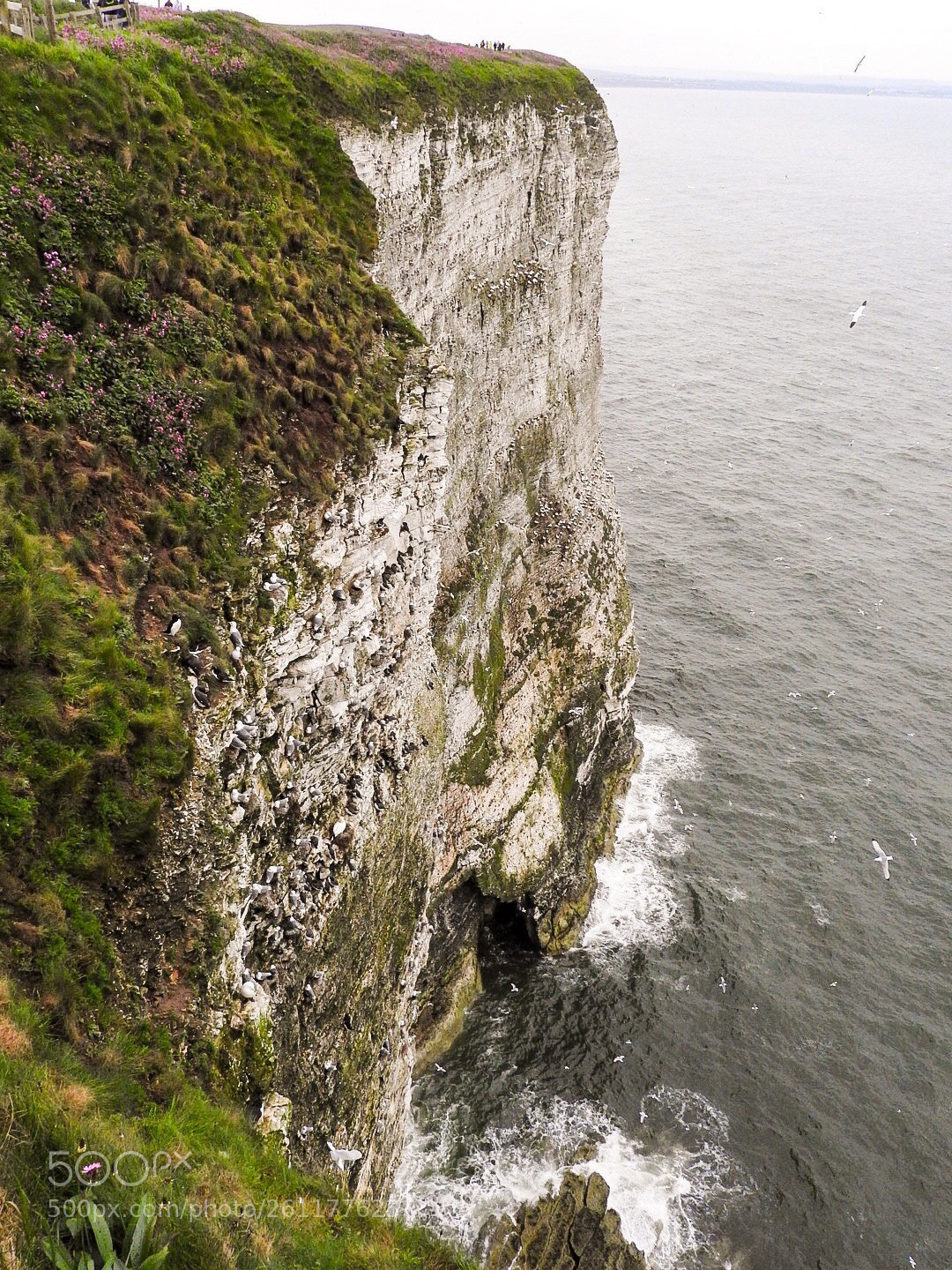 Nikon Coolpix P610 sample photo. Long way down photography