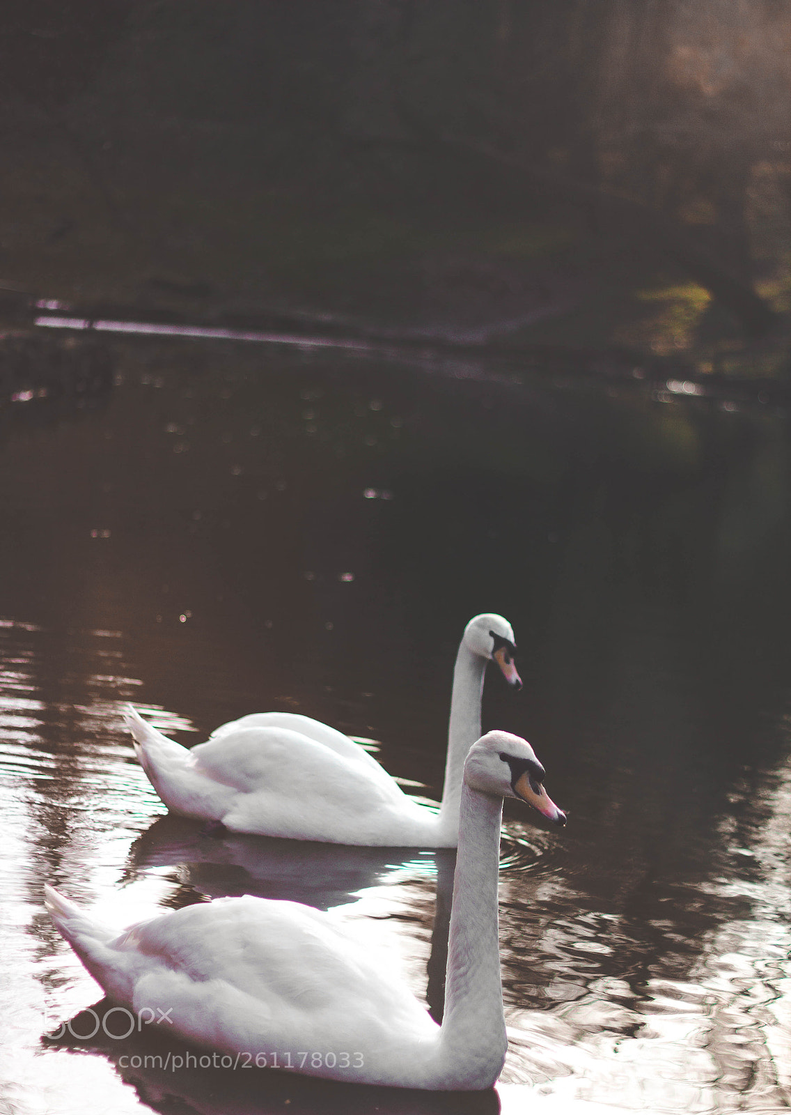 Canon EOS 60D sample photo. Untitled photography