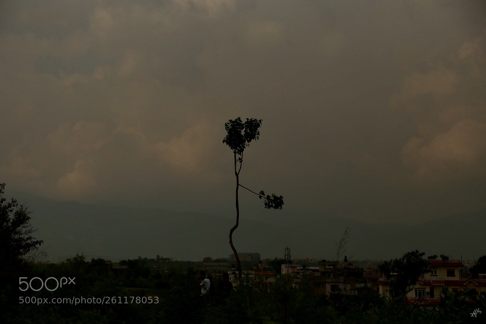 Canon EOS 6D sample photo. One tree hill photography