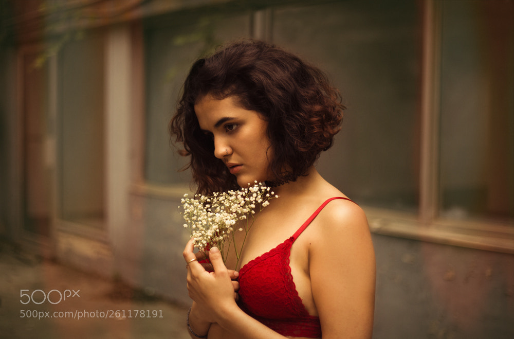 Canon EOS 5D Mark II sample photo. Gypsophilia photography